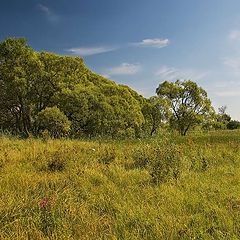 photo "green hills"