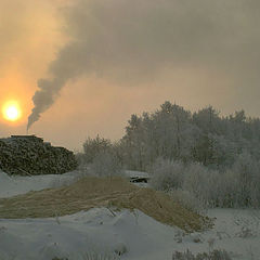 фото "на лесопилке"