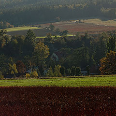 фото "colori"