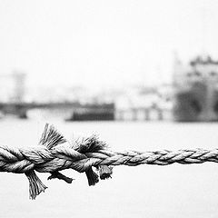 фото "Верёвочка"