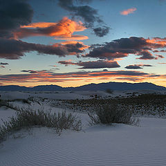 photo "Desert Fleet"