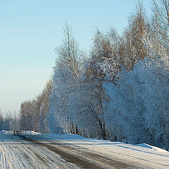 photo "Winter highway .."