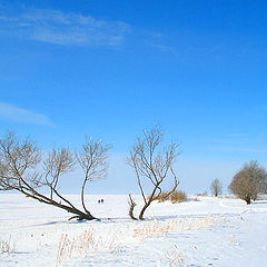 photo "Leaving for the Blue"