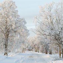 photo "The road to a fairy tale."