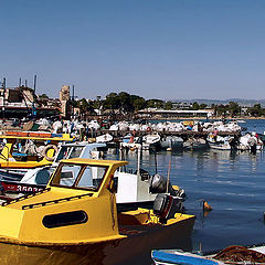 photo "All kinds of boats"