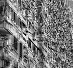 photo "multiplication"