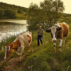 фото "Домой"