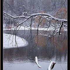 фото "Зимняя зарисовка"