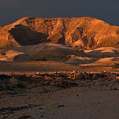 фото "The Red Planet"