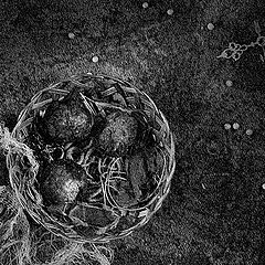 photo "Nest (Tales about lost time)"