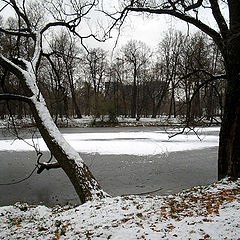 photo "The First Snow"