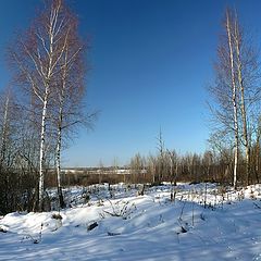 фото "Январская симметрия"