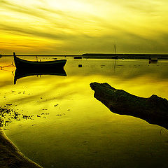 photo "Golden Waters"