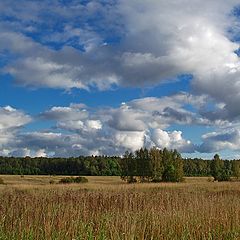 фото "Пейзаж на ровном месте..."