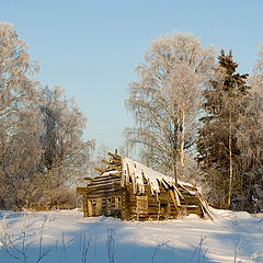 фото "Заброшенная деревня(1)."