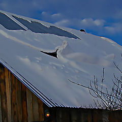 photo "Беспокойный сон"