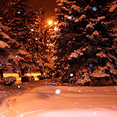 фото "Зимний вечер"