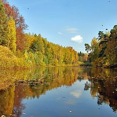 фото "Осенняя зарисовка"