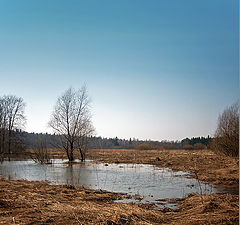 фото "Весенняя"