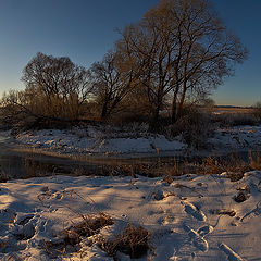 photo "Winter morning"