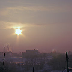 photo "Звезда по имени Солнце."