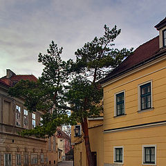 photo "Court yard of aliens"