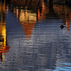 photo "Water Reflection"