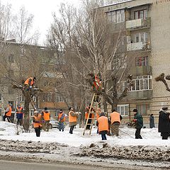 фото ""Грачи прилетели !""