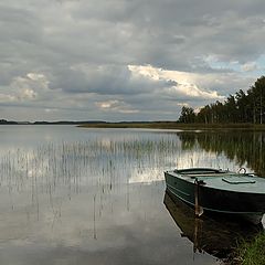 фото "И это все принадлежало мне..."