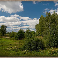 photo "Summer view in a wood frame."