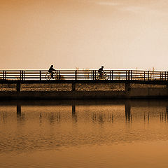 photo "biking at sunset"