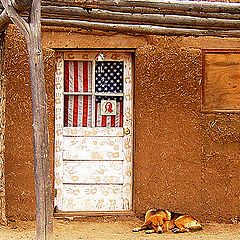 photo "Dog and door"