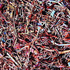 photo "It is more cool then Jackson Pollock"