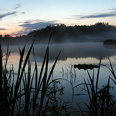 photo "Belorussian Loch Ness"