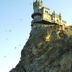 photo "Swallow's nest"