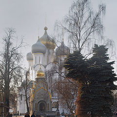 photo "Frosty day in the Novodevichy convent"