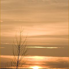 photo "Just sunset"