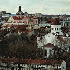 фото ".....и веточка"