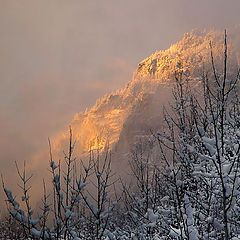 photo "The Frost and the Sun"