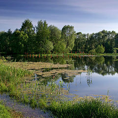 фото "Весна"