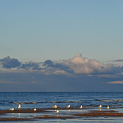 photo "Sunset on Lake Ladoga"