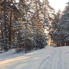 фото "Зимний день"