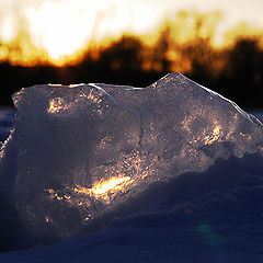 photo "Iceberg"