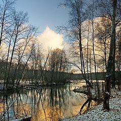 фото "Золотистый вечер"