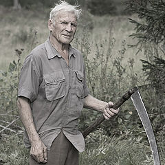 photo "On haymaking / 0180_0283"
