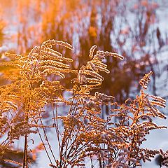 photo "To bring the light....."