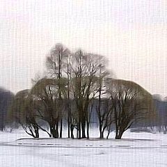 фото ""Заснеженный пруд". Холст, масло"