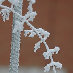 фото "Зимний этюд..."