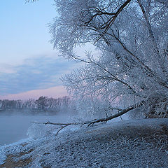 фото "Зимний берег."