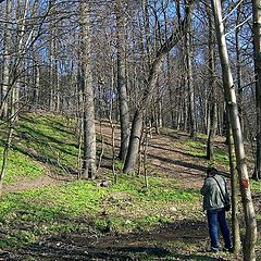 фото "Весна"